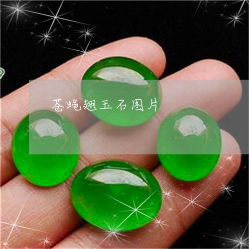 從“蒼蠅翅”到生態(tài)警示 翡翠光澤與粘蠅帶的現(xiàn)實分野