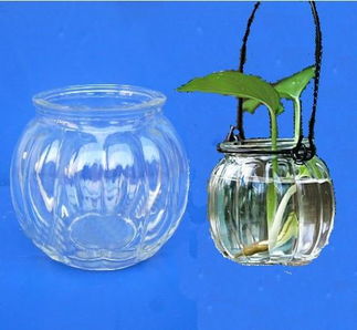 簡約南瓜玻璃鐵線吊瓶 輕盈通透的家居藝術與功能探索